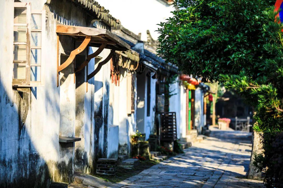 燃烧吧大脑免广告最新版